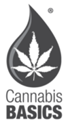 CANNABIS BASICS – CHABA PRODUCER